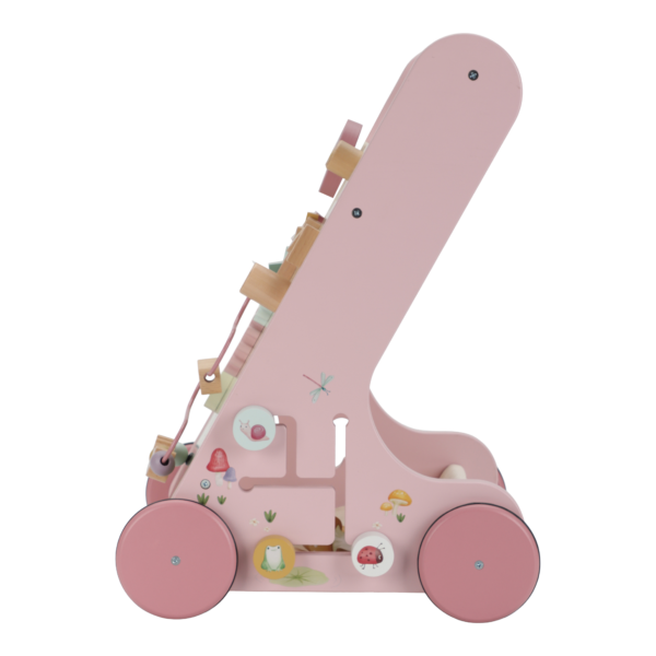 Primi passi multi-attivit  - Fairy Garden FSC